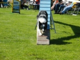 Fantom
IMCA selectie 30 mei 2009